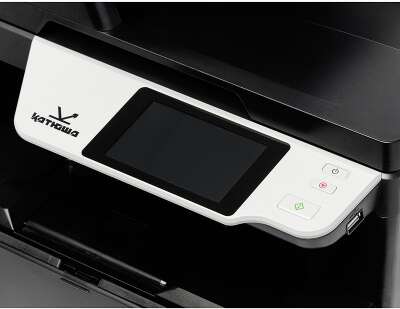 Устройство периферийное с двумя или более функциями (МФУ) 