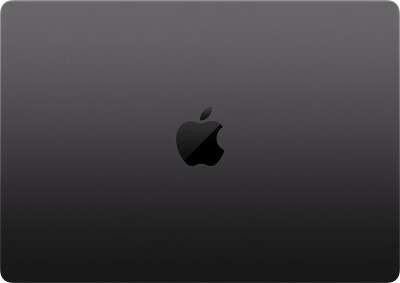 Ноутбук Apple MacBook Pro M4 Pro 16.2" (MX2Y3HN/A)