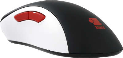 Мышь Zowie EC2 eVo CL