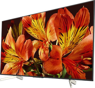 ЖК телевизор Sony 49"/123см KD-49XF8596 LED 4K Ultra HD с Android TV, чёрный