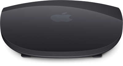 Мышь Apple Magic Mouse 2 Space Gray [MRME2ZM/A]