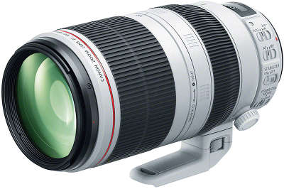 Объектив Canon EF 100-400 мм f/4.5-5.6L IS II USM