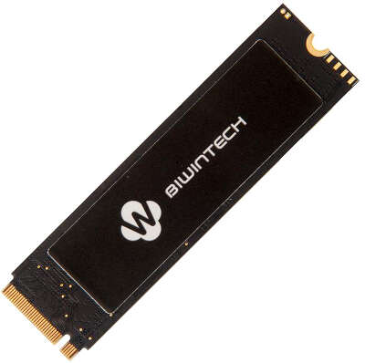 Твердотельный накопитель M.2 NVMe 256Gb BiwinTech NX500 Series [82P1B8#G] (SSD)