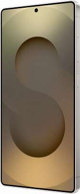 Смартфон Samsung SM-S938B Galaxy S25 Ultra 12/512GB, серый титан (SM-S938BZTCCAU)