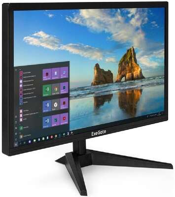 LCD ExeGate 21.5
