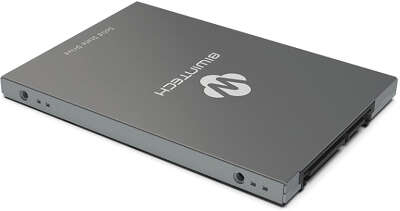 Твердотельный накопитель 2.5" SATA3 512Gb BiwinTech SX700 Series [52S3D9Q#G] (SSD)