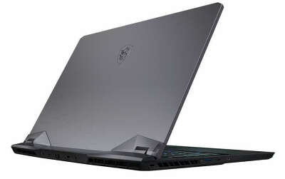 Ноутбук MSI GE76 Raider 10UH-441RU 17.3" FHD i7 10875H/64/2Tb SSD/GF RTX 3080 16G/WF/BT/Cam/W10