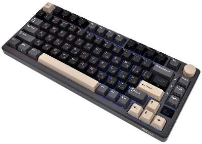 Клавиатура Royal Kludge RK-M75 Phantom (USB/2.4 GHz/Bluetоoth, RGB, Hot Swap, Brown switch)