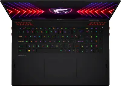 Ноутбук MSI Raider A18 HX A9WJG-216RU Ryzen 9 9955HX3D 64Gb SSD2Tb NVIDIA GeForce RTX 5090 24Gb 18" IPS UHD+ (3840x2400) Windows 11 Home black WiFi BT Cam (9S7-182L72-216)
