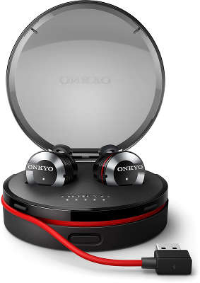 Наушники Onkyo True Wireless, Black [W800BTB/00]