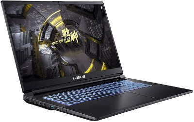 Ноутбук Hasee G8-DA7NP 17.3" QHD 165Hz i7-12700H/16/512 SSD/RTX3060 6G/WF/BT/Cam/DOS