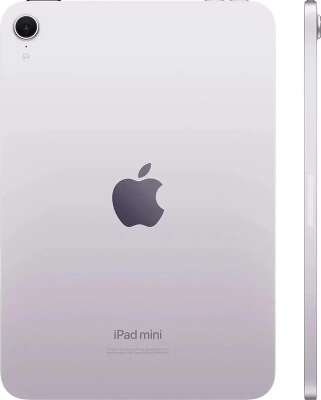 Apple iPad mini 8.3