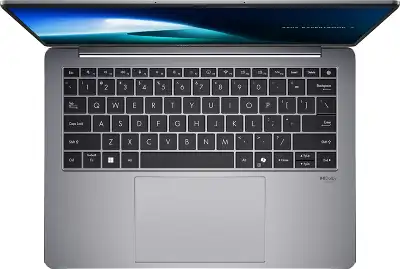 Ноутбук ASUS ExpertBook P5405CSA-NZ0298 14" WQXGA IPS 16/512Gb SSD/Без OC серый
