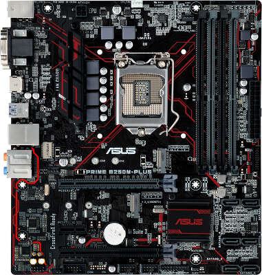 Asus b250m plus on sale