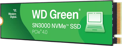 WD WDS100T4G0E