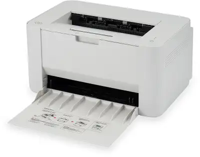 Принтер Digma DHP-2401