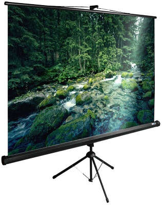 Экран Cactus 165x220см TriExpert CS-PSTE-220x165-BK 4:3 напольный рулонный черный