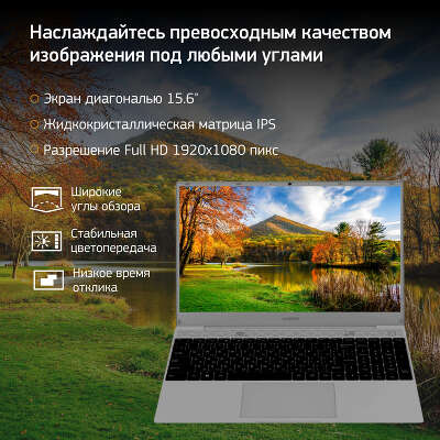 Ноутбук Digma EVE 15 C423 15.6" FHD IPS R 5 3500U 2.1 ГГц/8 Гб/256 SSD/W11Pro