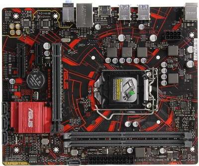 Материнская плата microATX LGA1151 ASUS EX-B360M-V3
