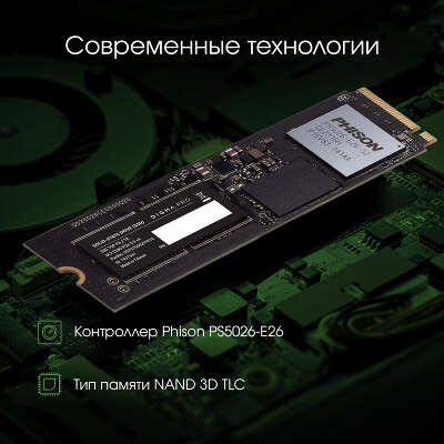 Твердотельный накопитель NVMe 2Tb [DGPST5002TP6T6] (SSD) Digma Pro Top P6