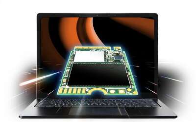 Твердотельный накопитель NVMe 256Gb [TS256GMTE300S] (SSD) Transcend MTE300S