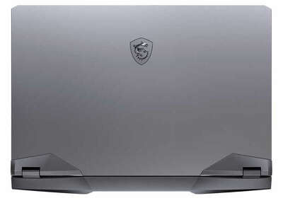 Ноутбук MSI GE76 Raider 10UH-441RU 17.3" FHD i7 10875H/64/2Tb SSD/GF RTX 3080 16G/WF/BT/Cam/W10