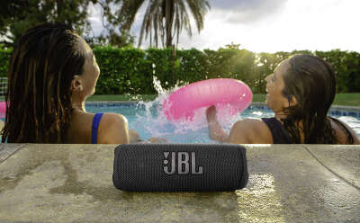 Акустическая система JBL Flip 6, Black [JBLFLIP6BLK]