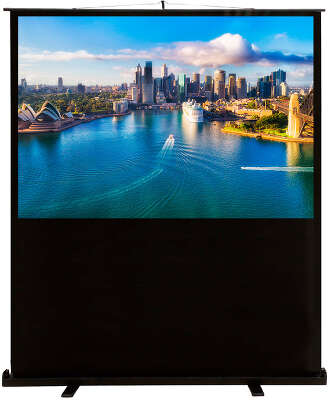 Экран напольный Cactus 120x160см FloorCompactExpert CS-PSFLCE-160X120