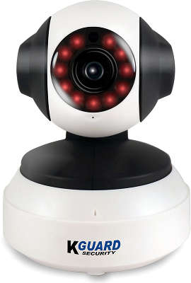 Беспроводная WEB-камера QRT-501 HD, управляемая (гор.355гр, верт.120гр), динамик, LAN, microSD
