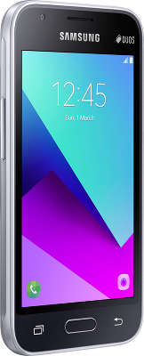 Смартфон Samsung SM-J106 Galaxy J1 mini Prime, черный (SM-J106FZKDSER)