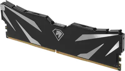 Набор памяти DDR4 DIMM 2x8Gb DDR3200 Netac Shadow II Black (NTSWD4P32DP-16K)