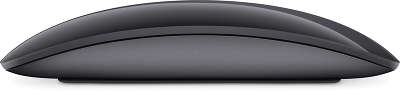 Мышь Apple Magic Mouse 2 Space Gray [MRME2ZM/A]