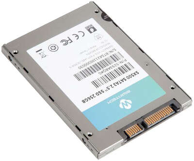 Твердотельный накопитель 2.5" SATA3 256Gb BiwinTech SX500 Series [52S3A8Q#G] (SSD)