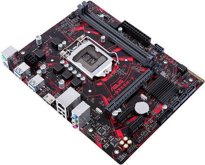 Материнская плата microATX LGA1151 ASUS EX-B365M-V