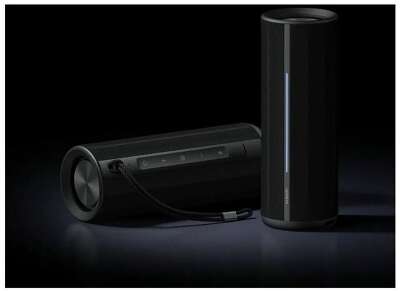 Акустическая система Xiaomi Bluetooth Speaker, 40W (QBH4275GL)