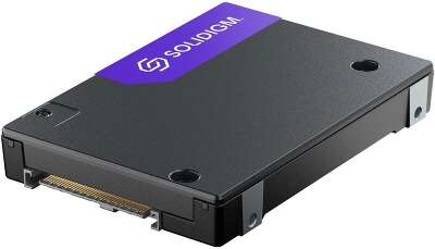 Накопитель SSD PCIE 3.84 TB D7-PS1010 SB5PH27X038T001 SOLIDIGM