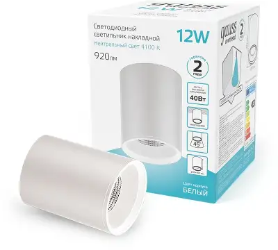 Светильник Gauss Overhead потолоч. 12Вт 4100K цв.св.:белый нейтральный белый (HD011)