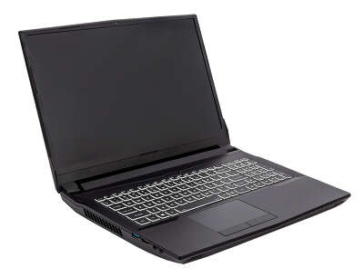Ноутбук Hiper G16 16.1" FHD IPS i7 11700K/32/2Tb SSD/RTX 3070 8G/W11Pro