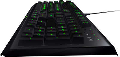 Клавиатура USB Razer Cynosa Pro