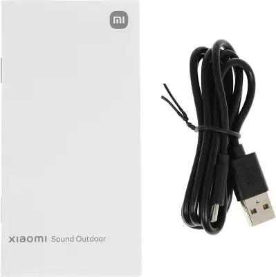 Акустическая система S29D Xiaomi Sound Outdoor 30W Black, 30W (QBH4261GL)