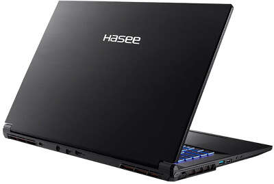 Ноутбук Hasee G8R9 17.3" QHD 165Hz i9-13900H/16/1Tb SSD/RTX4060 8G/WF/BT/Cam/DOS