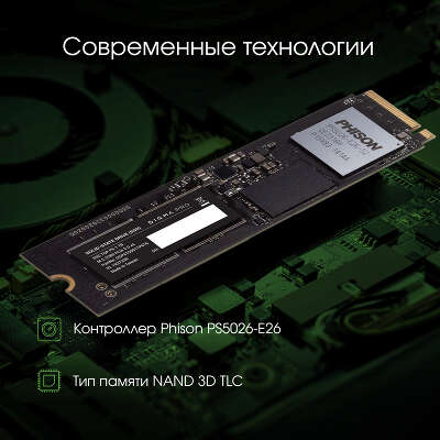 Твердотельный накопитель NVMe 1Tb [DGPST5001TP6T6] (SSD) Digma Pro Top P6