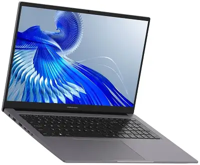 Ноутбук Maibenben P725 Core i5 12450H 16Gb SSD512Gb Intel UHD Graphics 17.3" IPS FHD (1920x1080) Windows 11 Home grey WiFi BT Cam 6065mAh (P7251SF0HGRE0)