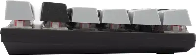 Клавиатура Оклик K600X механическая черный/серый USB Multimedia for gamer LED