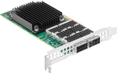 Mellanox CX623106A (MCX623106AN-CDAT)
