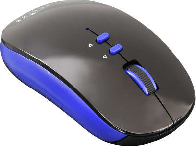 Мышь беспроводная USB Oklick 595MB BT 2000 dpi, чёрная/синяя