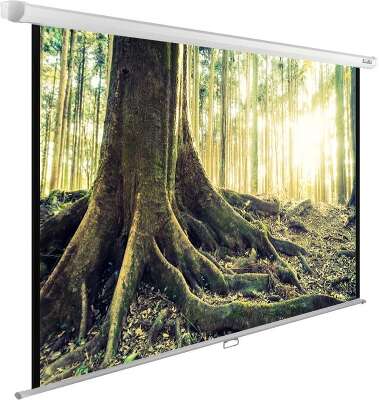 Экран Cactus 220x220см WallExpert CS-PSWE-220x220-WT 1:1 настенно-потолочный рулонный
