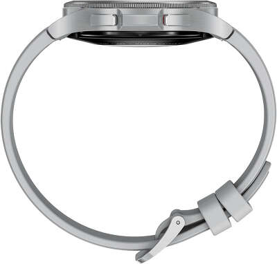 Умные часы Samsung Galaxy Watch 4 Classic 46 мм, серебристый (SM-R890NZSACIS)