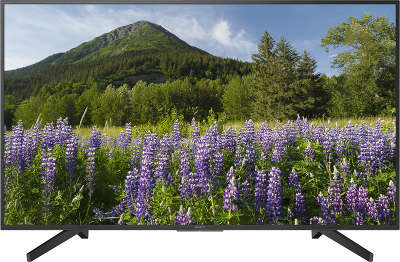 ЖК телевизор Sony 49"/123см KD-49XF7096 LED 4K Ultra HD, черный