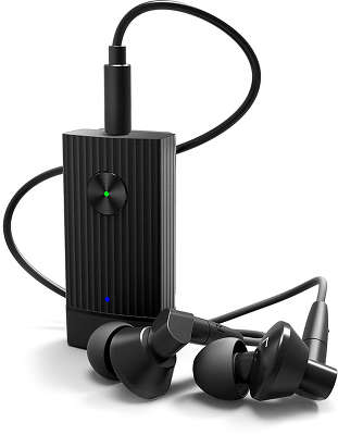Цифровой усилитель для наушников FIIO BTR1